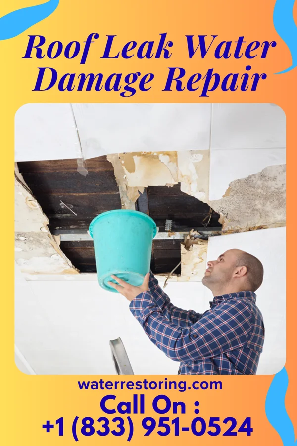Roof Leak Water Damage Repair in Marblehead, OH