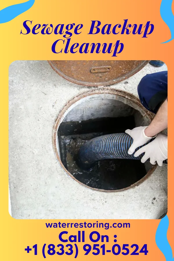 Sewage Backup Cleanup in Marblehead, OH