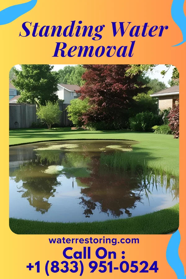Standing Water Removal in Marblehead, OH